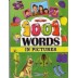 1001 Words With Pictures - Learn 1001 New Words With Pictures